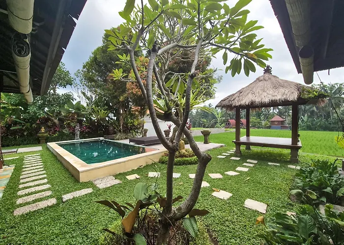 Padi Menari * Ubud