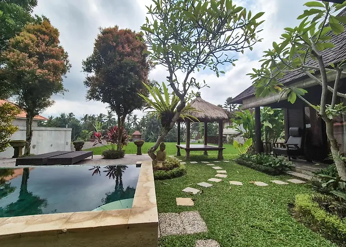 Padi Menari *