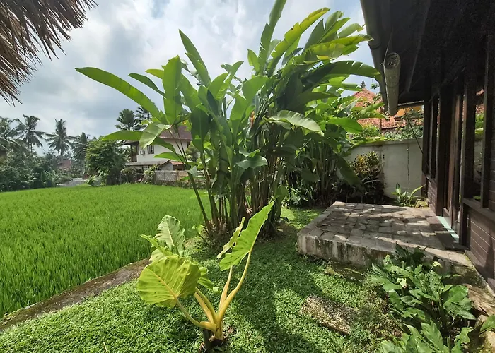 Padi Menari Villa *